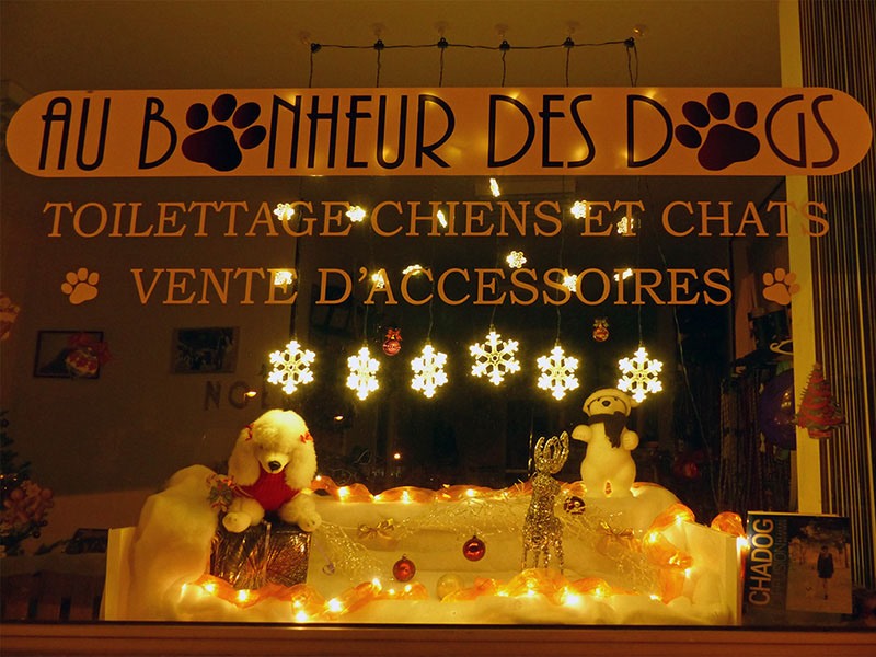 Vitrine de Noël